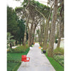 Siesta Dolce Arm Chair