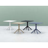 Siesta Sky Table 80