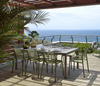 ARM CHAIR DOGA AGAVE