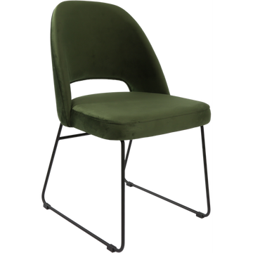 Avocado Velvet
