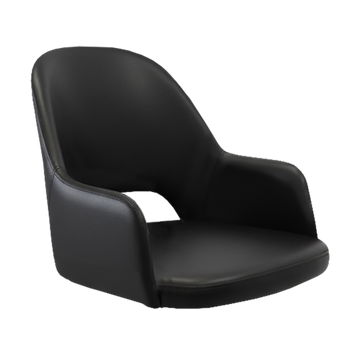 Black Vinyl