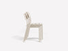 CHAIR CASSIA CACTUS