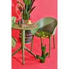 Siesta Dream Folding Chair